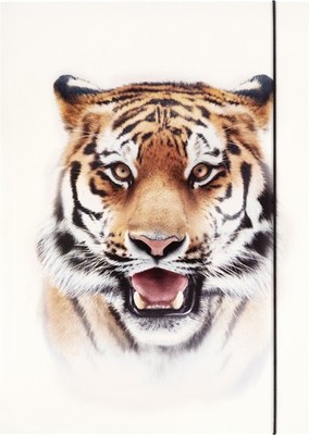 folia Zeichnungsmappe BASIC ''Roaring Tiger'' Karton DIN A3
