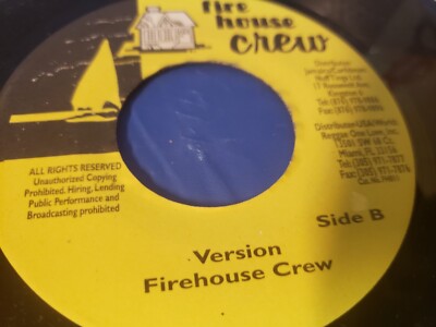 Fredlocks   I Want You In My Life -  7'' REGGAE VINYL 45 RPM