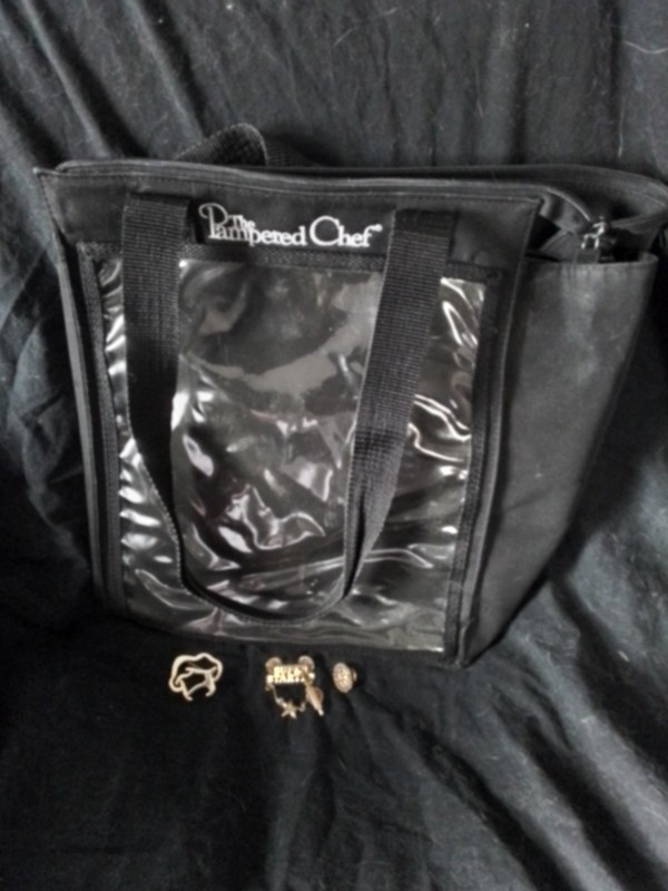 Pampered Cef Catalog Bag And Four Pins