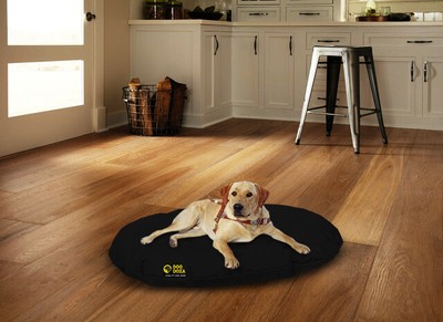 dog doza beds