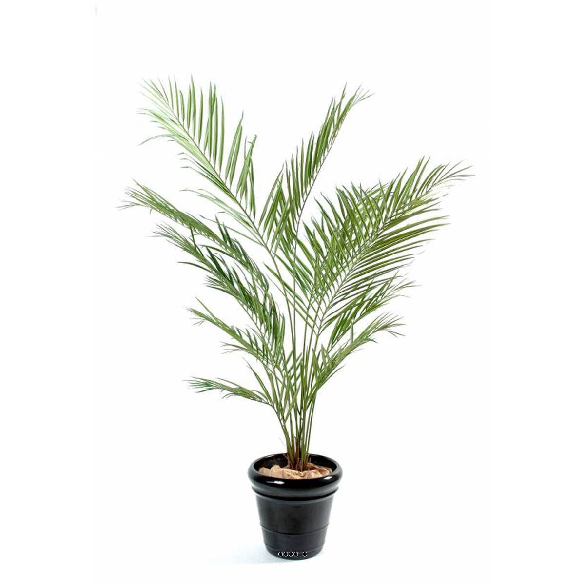 Palmier artificiel Kentia grand format 150 cm pour plante verte interieur