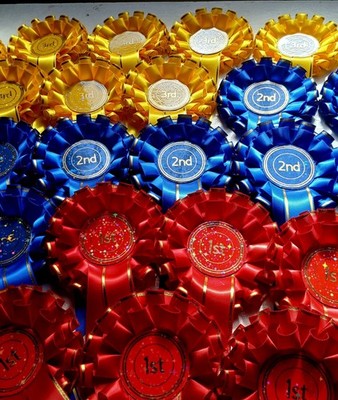 1. bis 3. x10 30 Rosetten 2 Ebenen Gold Straßenbahnlinie Hundeshow Event holografische Sterne