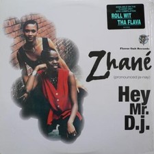 Zhané - Hey Mr. D.J. (12") (Very Good Plus (VG+)) - 4045709524