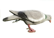 Flocked Full Body Pigeon Decoys Multi Position