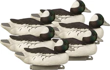 | Standard Bufflehead Duck Decoys, All Drakes, Foam-Filled