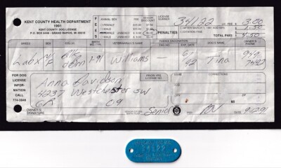 1991 KENT COUNTY MICHIGAN DOG LOST DOG TAG #34122 MATCHING