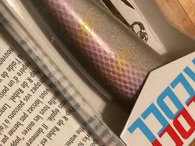 Rebel Pop R Plus Topwater Hard Bait | Sportsman's Warehouse