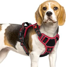 *NEW* Eagloo Dog Harness ~ Reflective ~ Adjus...
