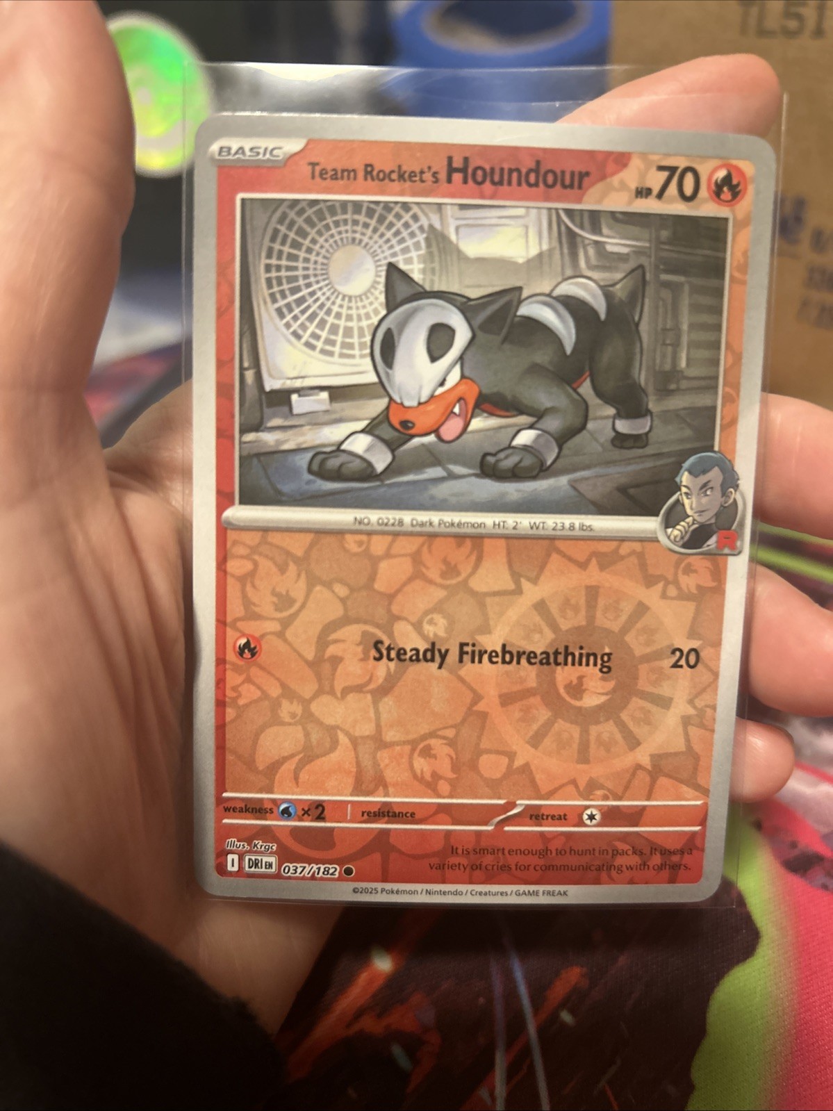 Pokemon TCG: Team Rocket's Houndour 37/182, Destined Rivals _ REVERSE HOLO