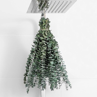 10pcs Dried Eucalyptus Stems 17  Real Natural Shower Wedding Decor