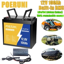 12.8V 100Ah LiFePO4 Lithium Battery BMS with Charger 14.6V 20A for RV Off-Grid