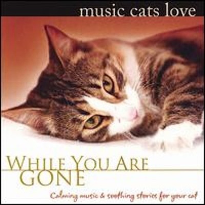 Music Cats Love: While You Are Gone by Bradley Joseph: Used