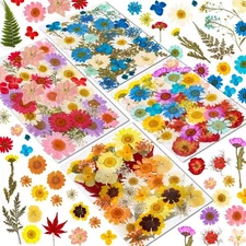 Real Dried Pressed Flowers for Resin, Natural Dry Flowers Leaves Bulk Herbs K...