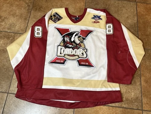 2010-11 BYFUGLIEN  Bakersfield Condors Game Worn ECHL Hockey Jersey MeiGray