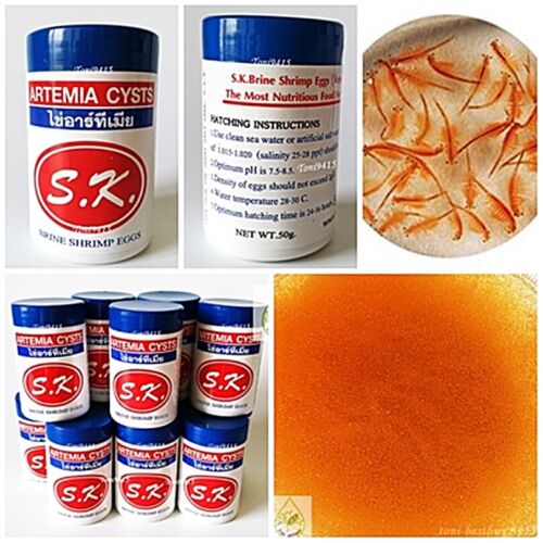Brine Shrimp Egg Artemia Cysts 50 g. Best Quality Shrimp Fish Hatched Killifish - Picture 4 of 6