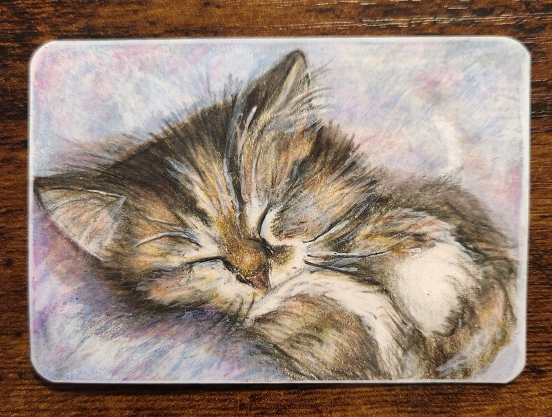 Original Miniature Painting ACEO Cat Pretty Kitten Sleeping