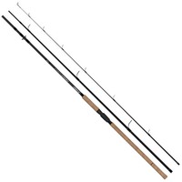 FTM Trout Light 3,00M 2-15G - Forellenrute, Spinnangelrute, Forellenangelrute