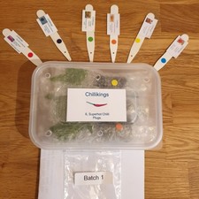 6x Superhot Chilli Plug Plants From Chillikings!!! Batch 1!! 2026!! Ready Now!!!