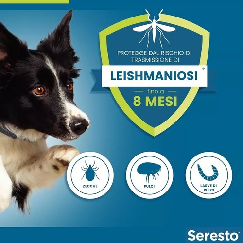 Seresto DOG less than 8 kg Parasitic Collar for DOGS Medium- - Foto 3 di 7