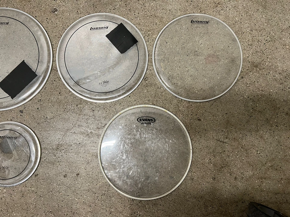 DRUM HEAD LOT LUDWIG EVANS CLEAR - Image 4 of 4