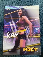 BILLIE KAY - 2016 WWE DIVAS REVOLUTION - #40