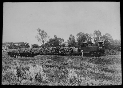 ZUGLADUNG ZUCKERROHR QUEENSLAND AUSTRALIEN UM 1913 Magische Laterne Dia FOTO