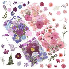 100 Pcs Dried Pressed Flowers for Crafts, Preserved  Pink  Purple 100pcs
