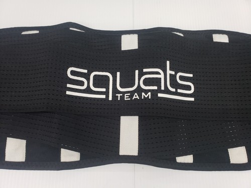 FITMENTEAM SQUATS Training Toning Belt Weight Lifting Strength Core Support - 第 15/19 張圖片