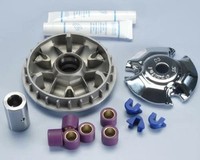 Polini Hi-Speed Variomat - FüR Peugeot Geopolis 250 4T Ie Premium Rs 2007-11