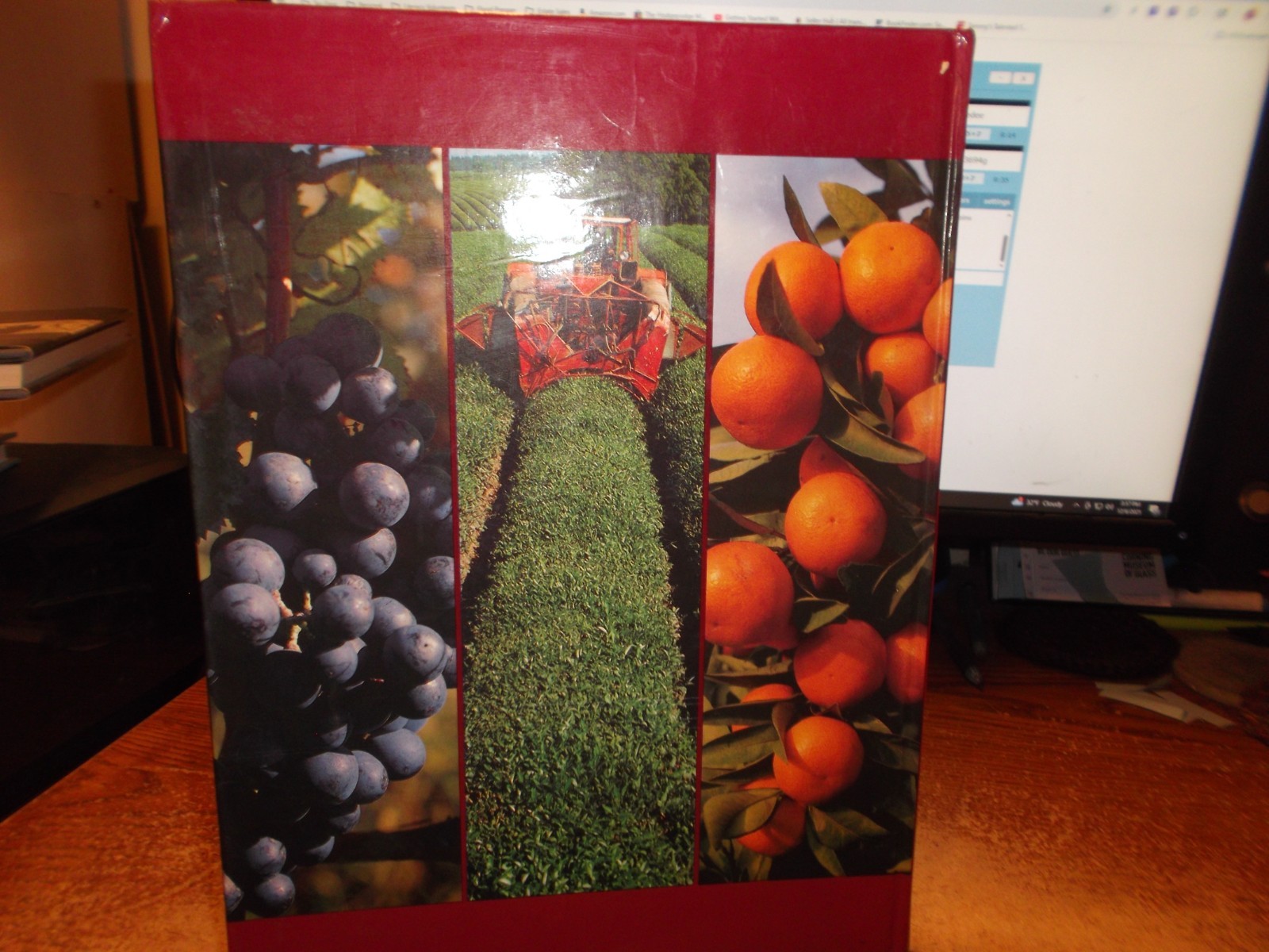 Gifts of the Georgian Land - Georgian, Russian, and English - HC 1988