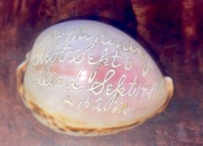 1901 William MCKINLEY Shot Sept 6 1901 MEMORIAL Souvenir CARVED Cowrie SHELL