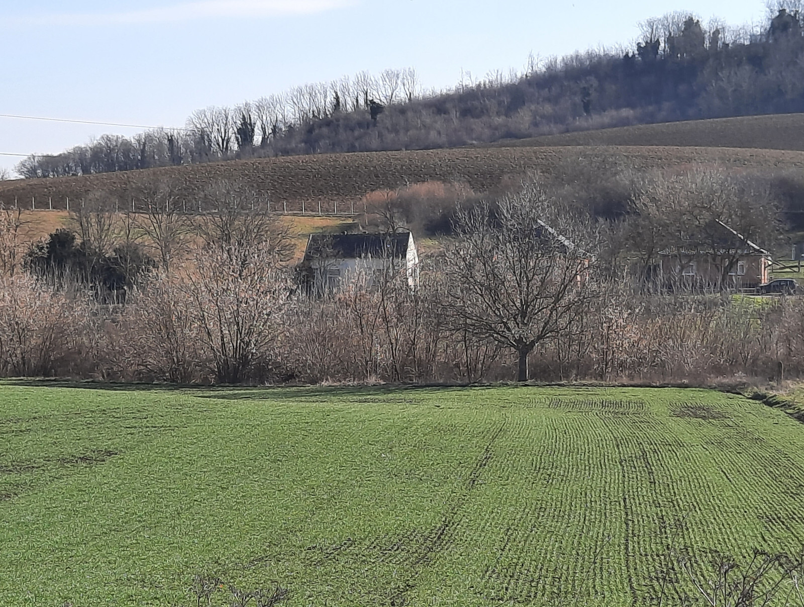 Bild 2 von 19