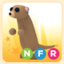 NFR Meerkat - The Trusted Store!!