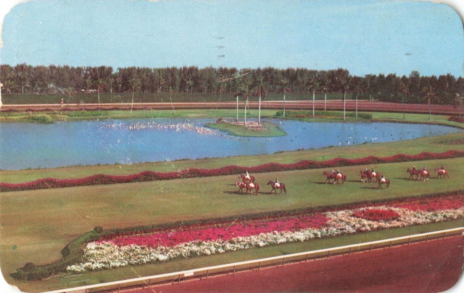 Miami FL Florida, Hialeah Race Course Parading to the Post, Vintage Postcard