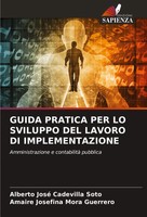 Guida Pratica PER LO Sviluppo DEL Lavoro DI Implementazione Soto (U. A.) Buch