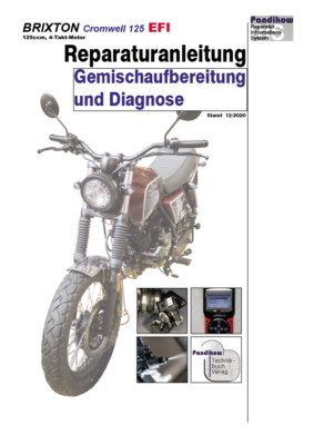 Reparaturanleitung RIS Brixton BX 125 Cromwell EFI Gemischaufbereitung Diagnose