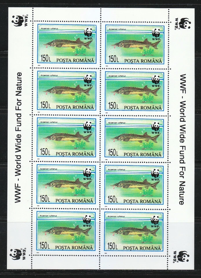 Rumanía 1994 MNH Sc 3954-3957 Mi 5034-5037 Esturión. Peces. WWF. Juego de KLB ** Foto 2 de 4