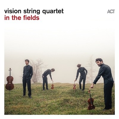 Vision String Quartet - In The Fields [VINYL]