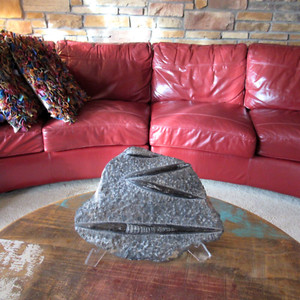 Large Orthoceras Squid Fossil Stone Slab 13"x9" Almost 8 lbs