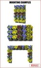 Bild 8 von 12
