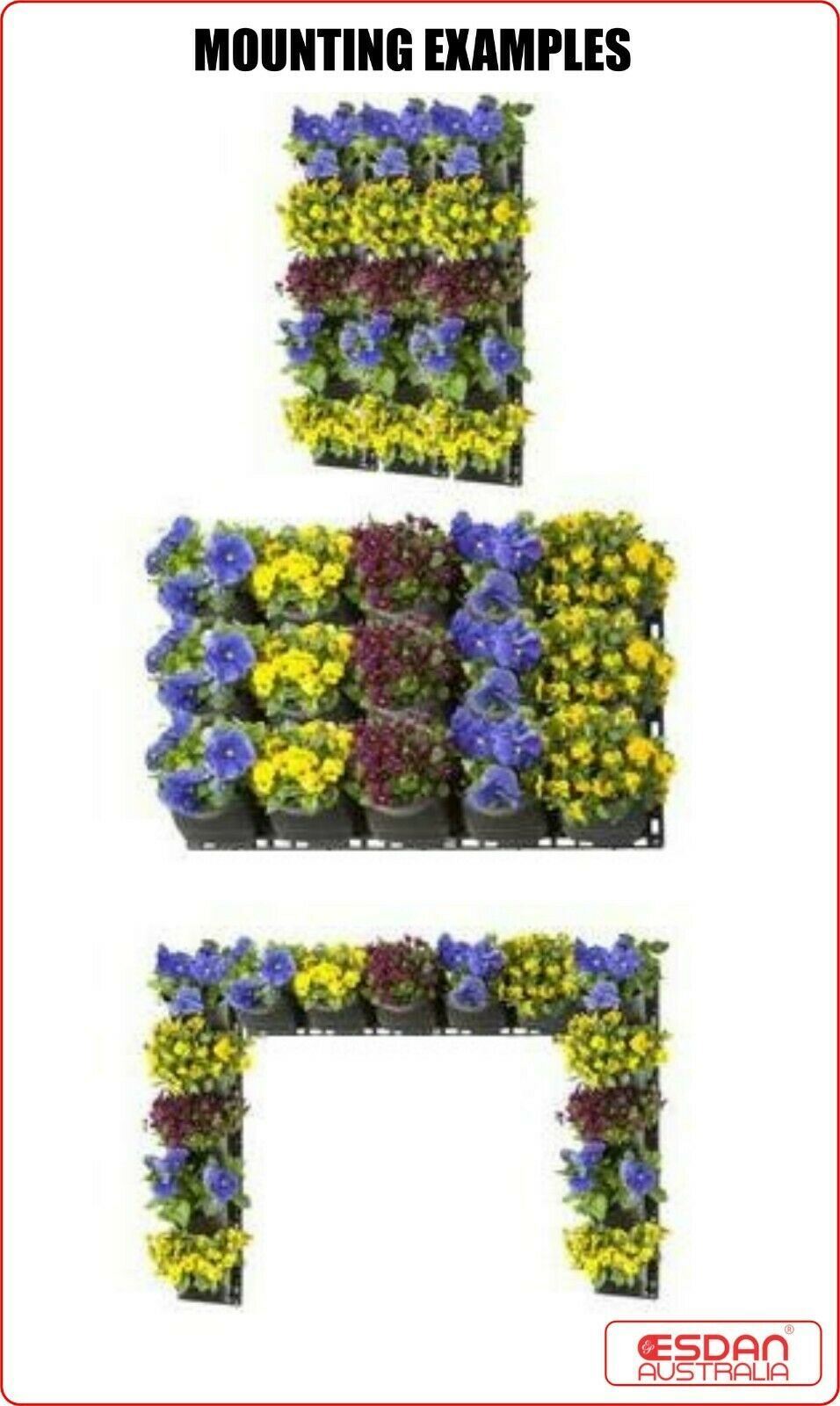 Bild 8 von 12