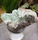 Crystal 124g Sparkling Green Apophyllite Raw Cluster Specimen Mineral — photo 4