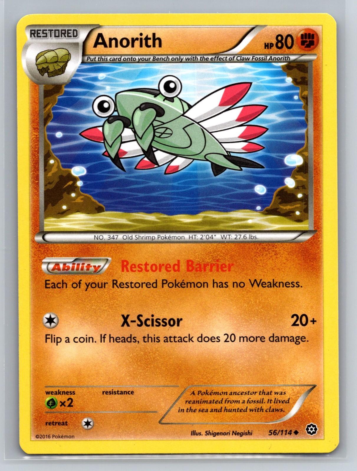 Anorith 56/114 Regular Uncommon 2016 Pokémon Card