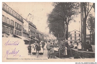 CAR-AFUP16-0811-56 - HENNEBONT - The Sunday Morning Market