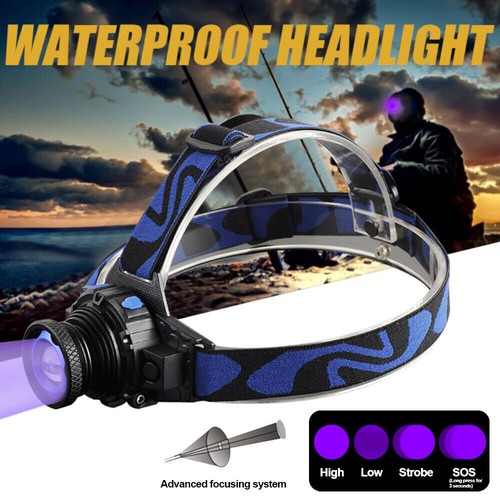 Linterna de Cabeza de Faro LED UV Luz Negra Batería Recargable Incorporada - Imagen 7 de 12