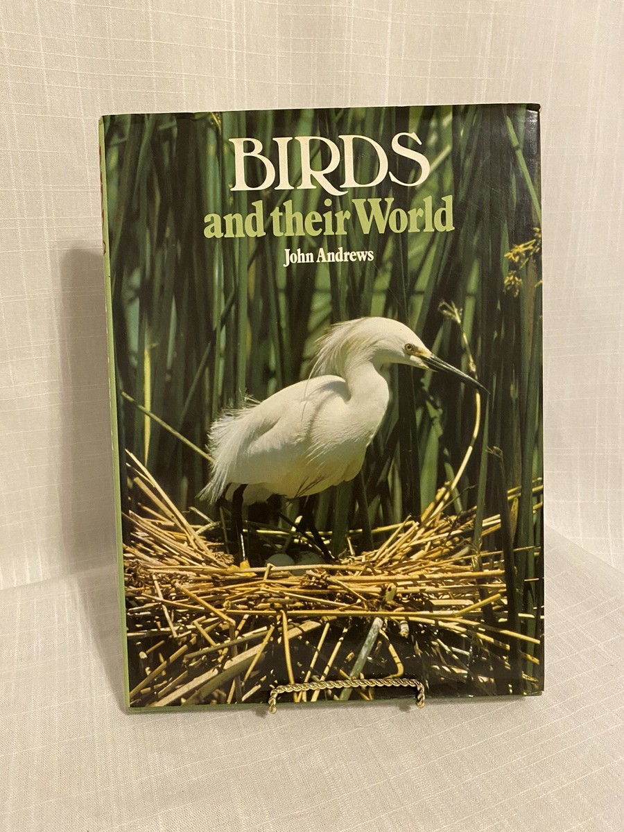 Birds and Their World Hardcover John Andrews | eBay