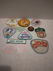 LOT /12 GSA GIRL SCOUTS AMERICA ACA CAMP LOCO GOOSE 80TH BIRTHDAY MERIT PATCHES — photo 4