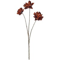 Kunstblume Rose Noble Velv, 2Er Set, Farbe Dunkelbraun, HöHe Ca. 76 Cm
