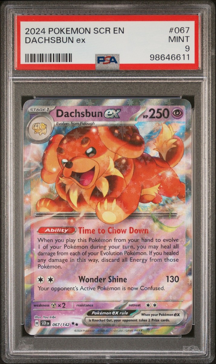 Dachsbun ex 067/142 Sv07: Stellar Crown Holo for sale online Dachsbun ex 067/142 Sv07: Stellar Crown Holo for sale online