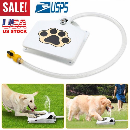 outdoor dog fountain step on